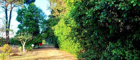 Property grounds