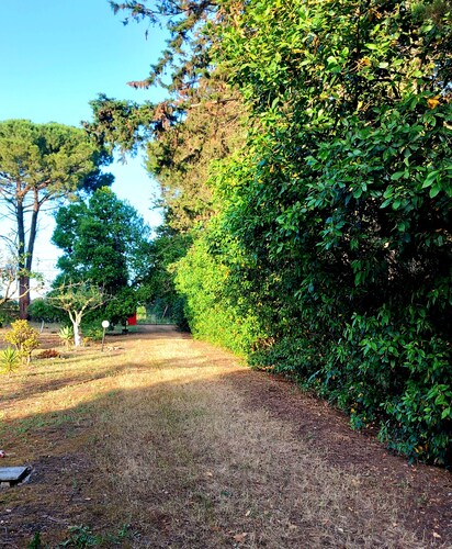 Surrounded by nature, within walking distance of the city