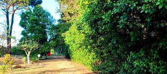 Surrounded by nature, within walking distance of the city