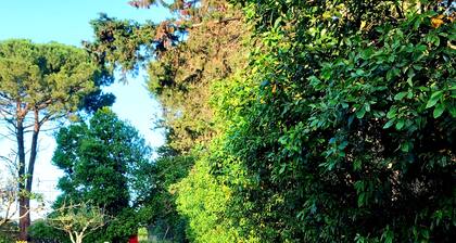 Surrounded by nature, within walking distance of the city