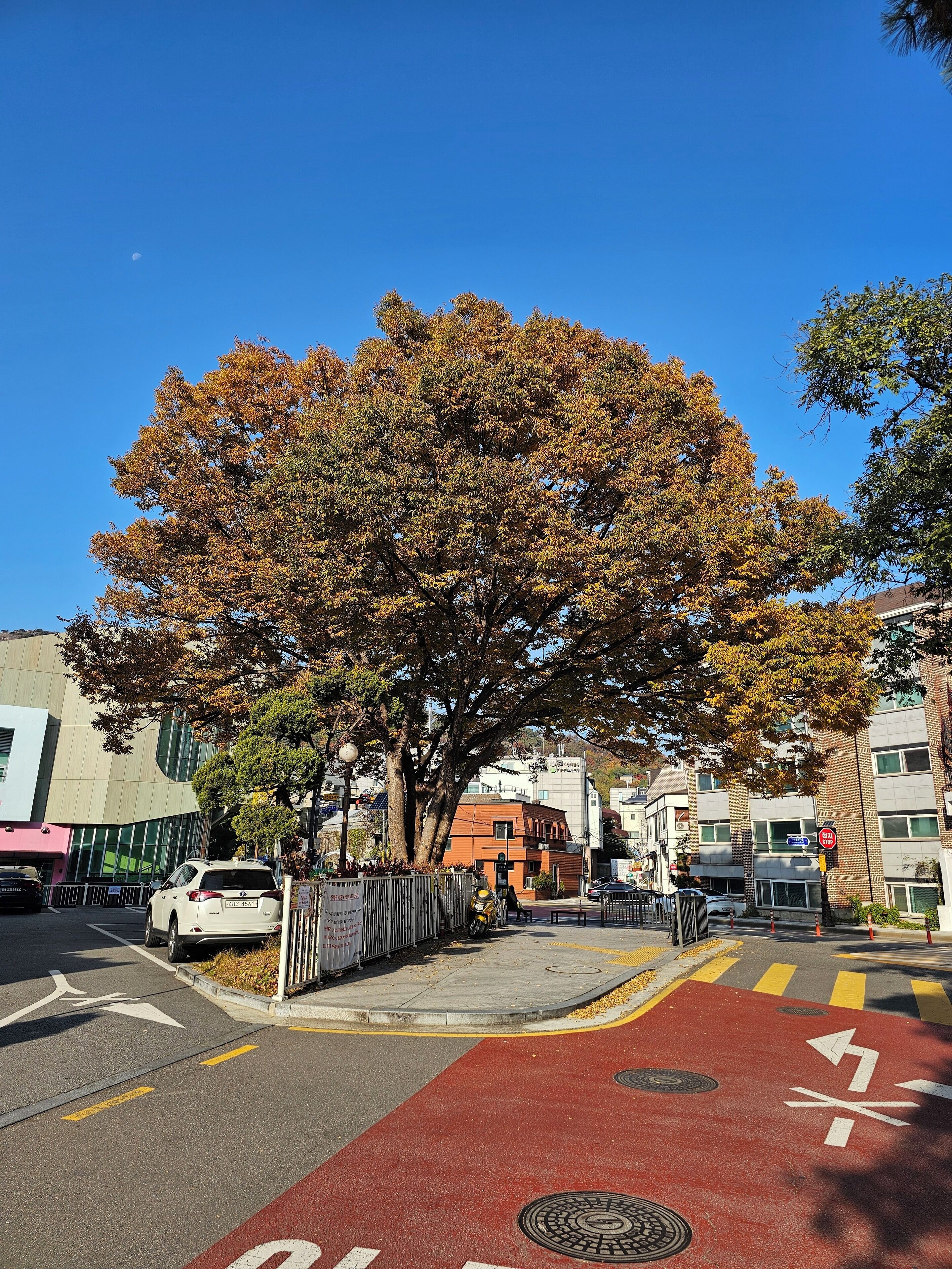 施設の敷地