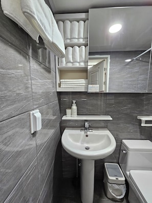 Hair dryer, towels, soap, toilet paper