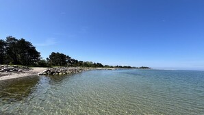 Ein freier Blick auf einen Strand mit ruhigem Wasser, einem sandigen Ufer und einer Baumreihe im Hintergrund.