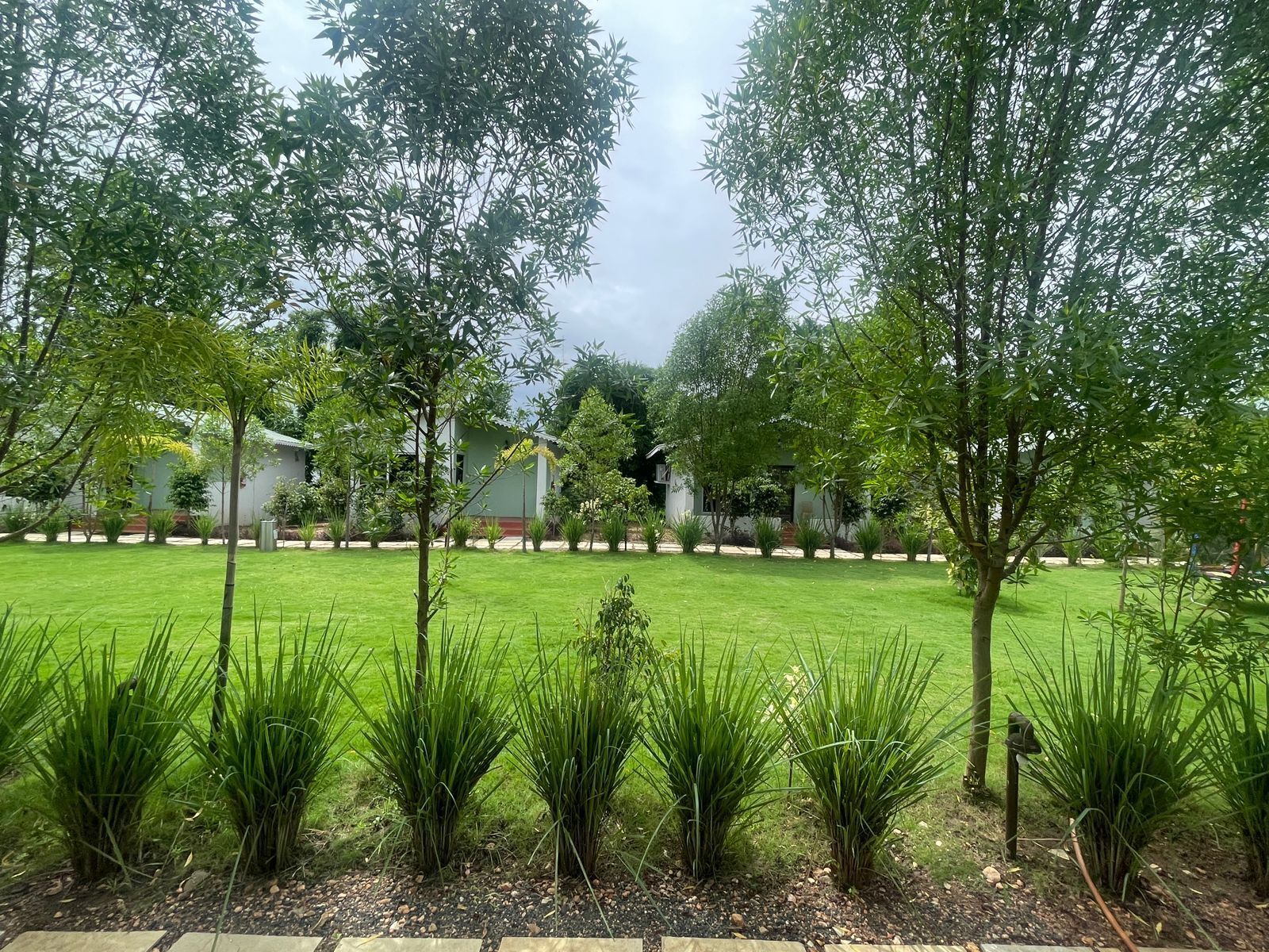 Un jardín bien cuidado con césped, árboles y diversas plantas.