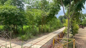 A stone pathway leading through a garden with various plants and trees. - Pench Kulamama Safari Resort (Kurai)