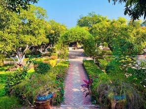 Garden view