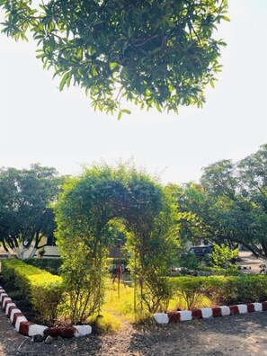 Puutarha