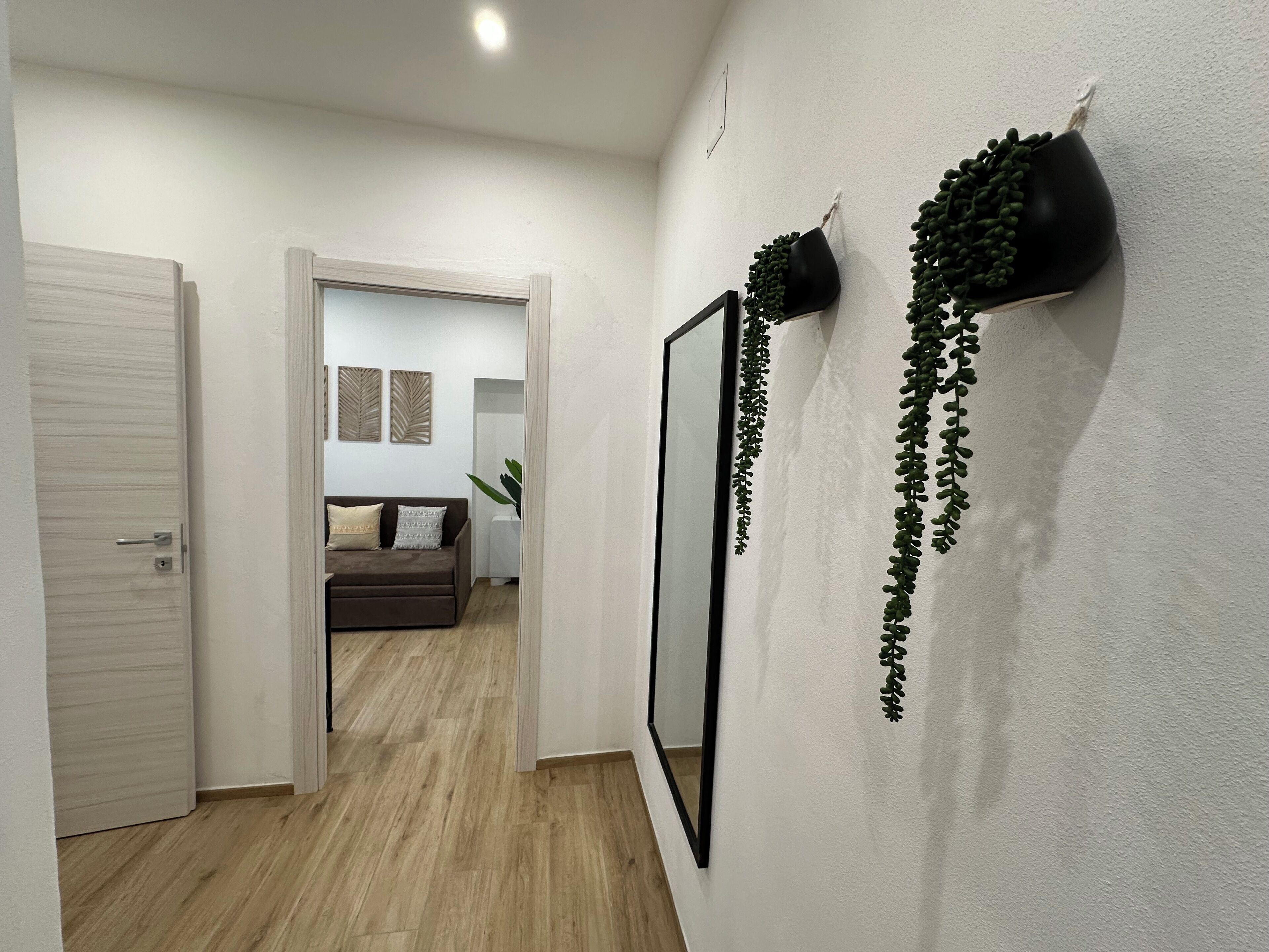 A hallway with a wooden floor, a white door, a framed mirror, and two hanging planters.
