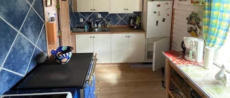 Fridge, oven, coffee/tea maker, electric kettle