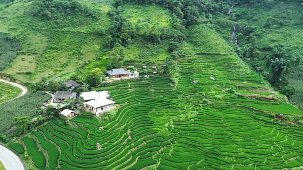 Exterior - Bees Homestay Sapa & Trekking (Lào Cai)