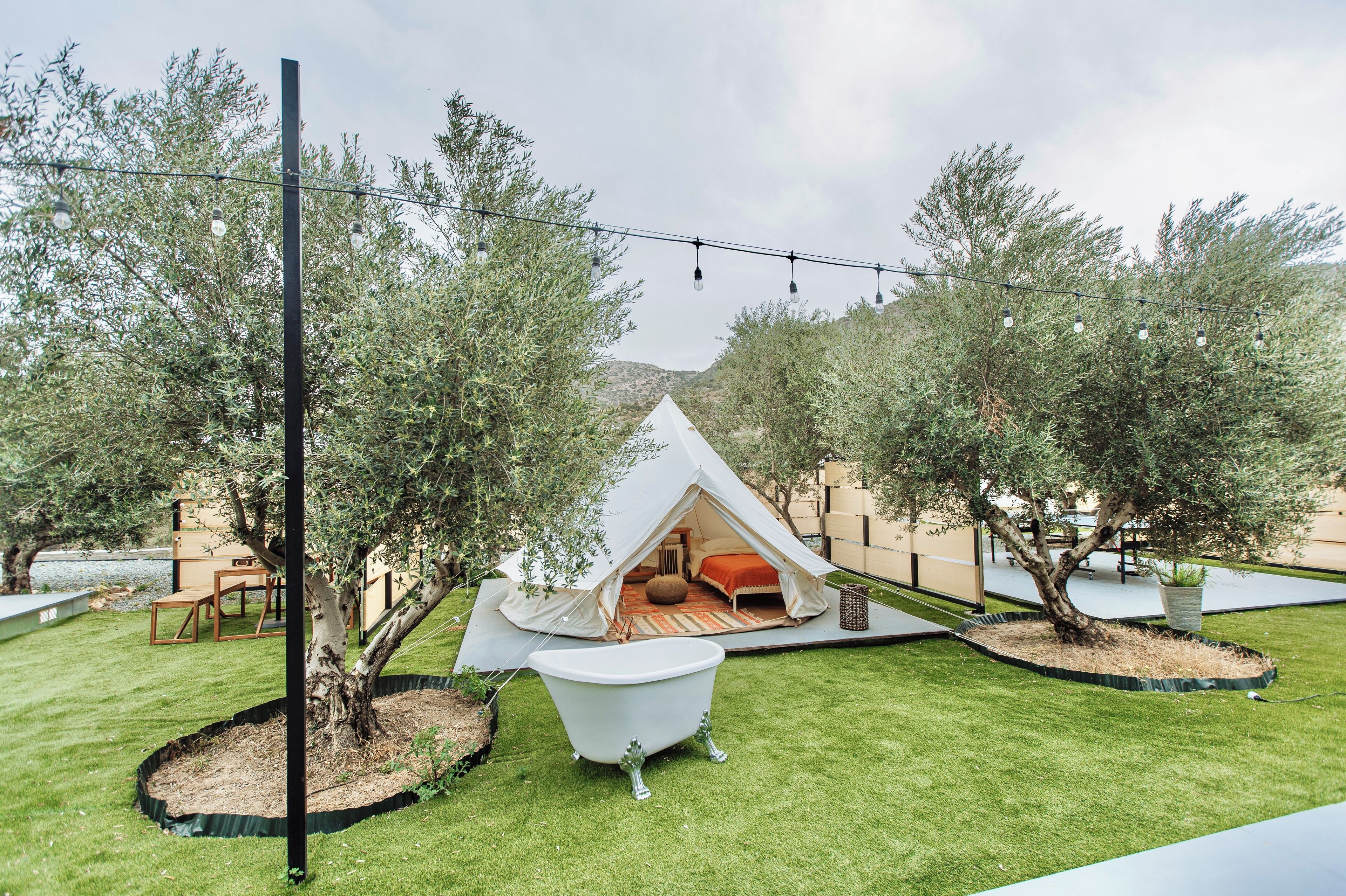 Tent, Patio, Courtyard View