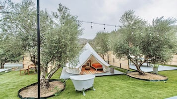 Tent, Patio, Courtyard View