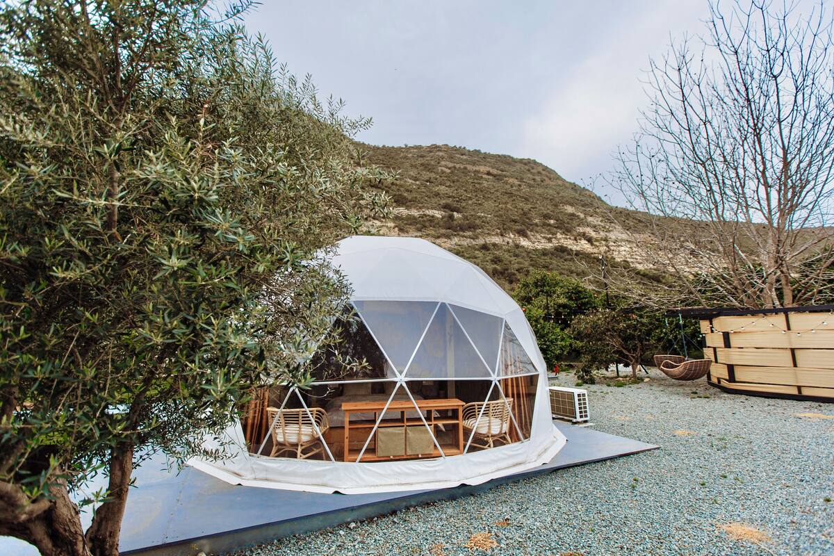 A dome-shaped tent with a wooden interior, surrounded by olive trees and a gravel ground.