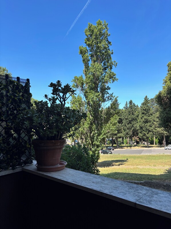 المنطقة المحيطة بالمنشأة