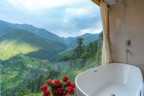 Jetted tub, hair dryer, towels, soap