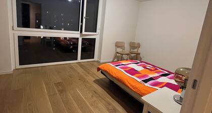 Charming bed & breakfast in delightful Genève with WiFi