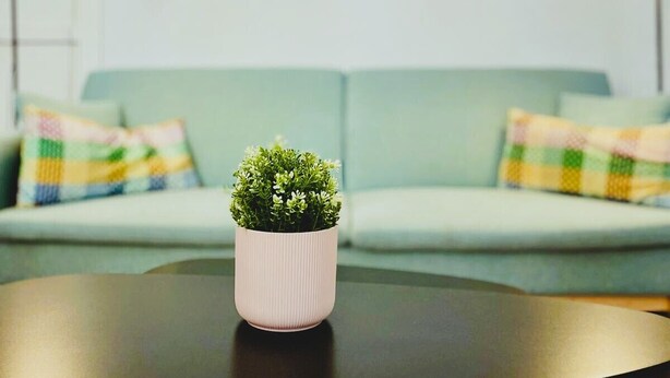 A modern living room with a green sofa, a small potted plant on a black table, and decorative wall art. - Beautiful apartment in the center of Barcelona (Barcelona)