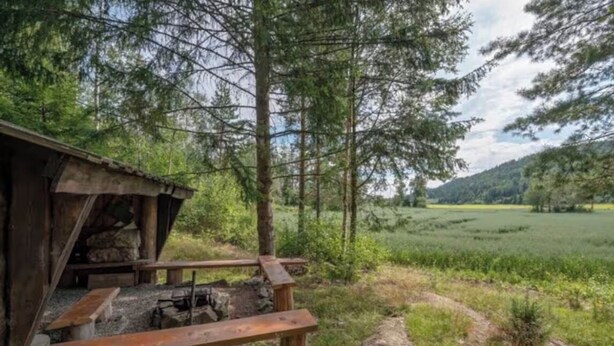 A rustic cabin with a wooden deck, surrounded by dense forest and a view of a distant hill.