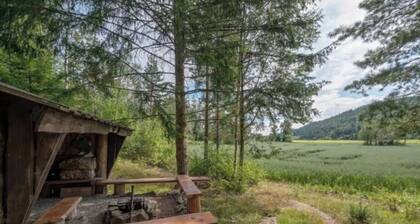 Veslestua - den lille landhandelen ved vannet /Historic Norwegian cabin