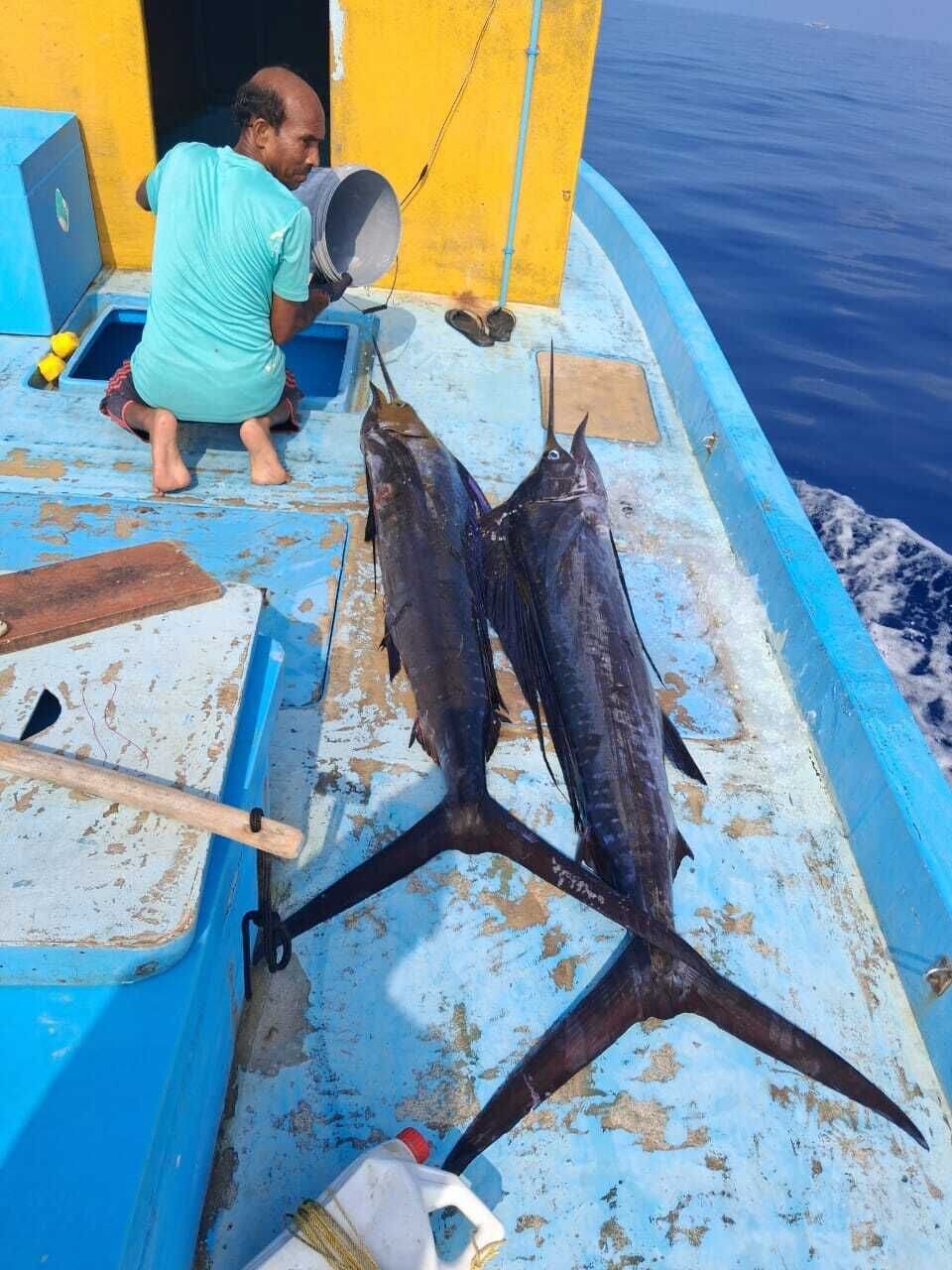 Pesca
