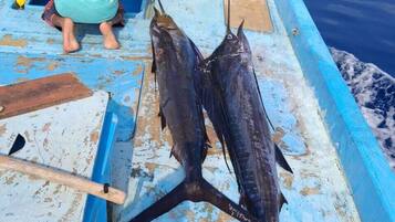 Pesca