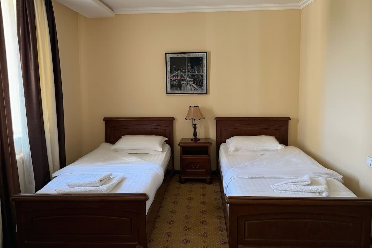 Habitación estándar con 2 camas individuales, vista a la ciudad | Escritorio, espacio para trabajar con laptop y wifi gratis