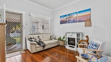 TV, fireplace, books, stereo