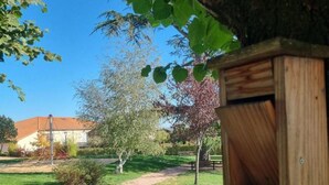 A wooden birdhouse in a garden with a clear path, trees, and a building in the background.