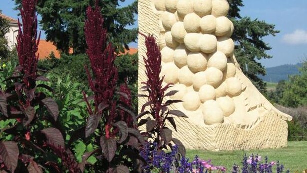 A garden with a large sculpture of a fruit, surrounded by various plants and flowers. - Family cottage in the heart of Côte Roannaise - Pets allowed (Saint-André-d'Apchon)