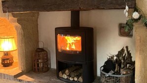 A wood-burning stove with visible logs, a hanging plant, and a candle holder.