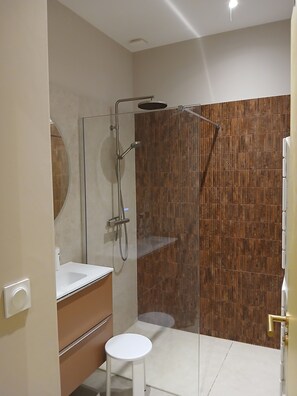 Shower, hair dryer, toilet paper