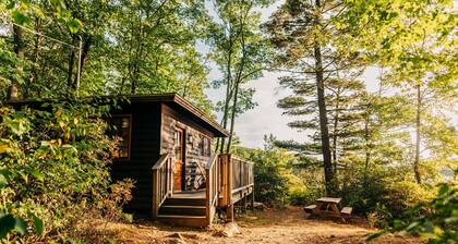 Harriman Outdoor Center - Mountain Laurel Cabin