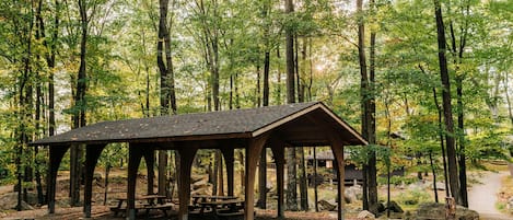 Àrea exterior de l'allotjament