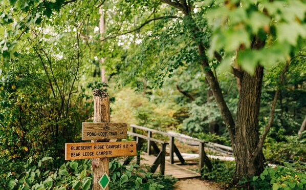 Property grounds - Harriman Outdoor Center - White Oak Cabin (Haverstraw)