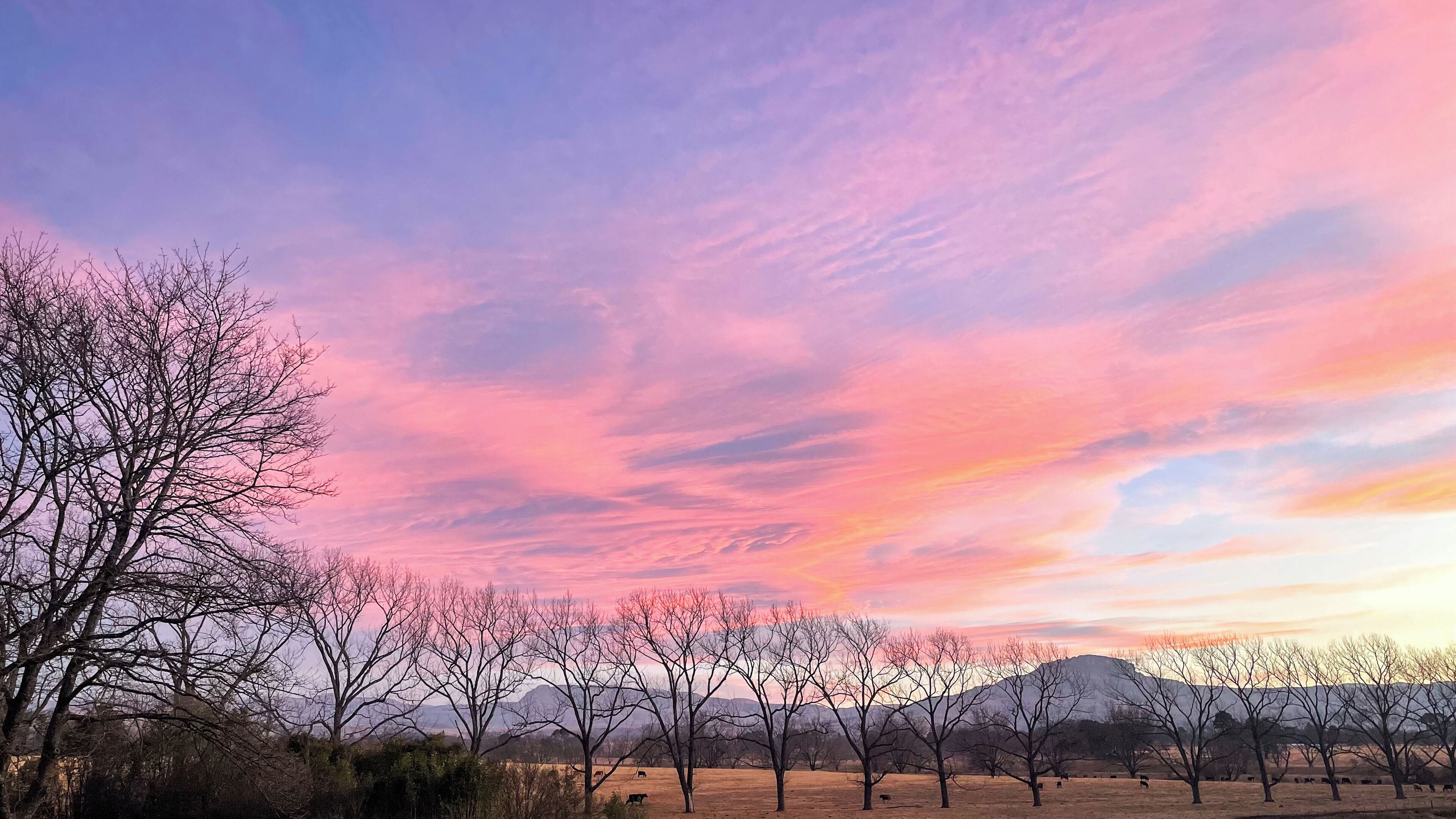 Un paisaje con cielo despejado, árboles y una cadena montañosa distante.