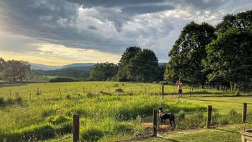 Paisaje rural con un campo cercado, un perro y una persona de pie a lo lejos.
