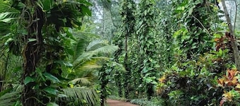 Aura Ecostay Resorts
