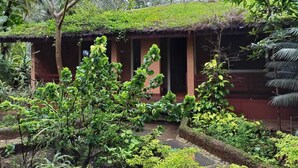 Un edificio rústico con techo de paja, rodeado de abundante vegetación y un sendero de piedra.