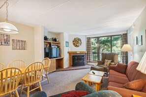 Televisión, chimenea y reproductor de DVD