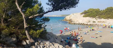 بالقرب من الشاطئ