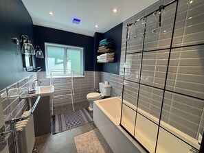 Shower, hair dryer, towels, soap