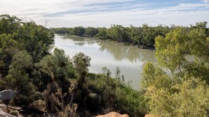 Une rivière bordée d’une végétation luxuriante et d’arbres.