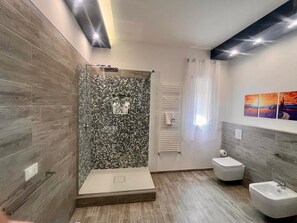 Shower, hair dryer, bidet, towels