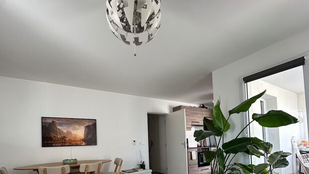 A modern living room with a dining area, a chandelier, a painting, and large potted plants. - Bright apartment with terrace Private parking (Rouen)
