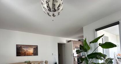 Appartement lumineux avec terrasse parking privé