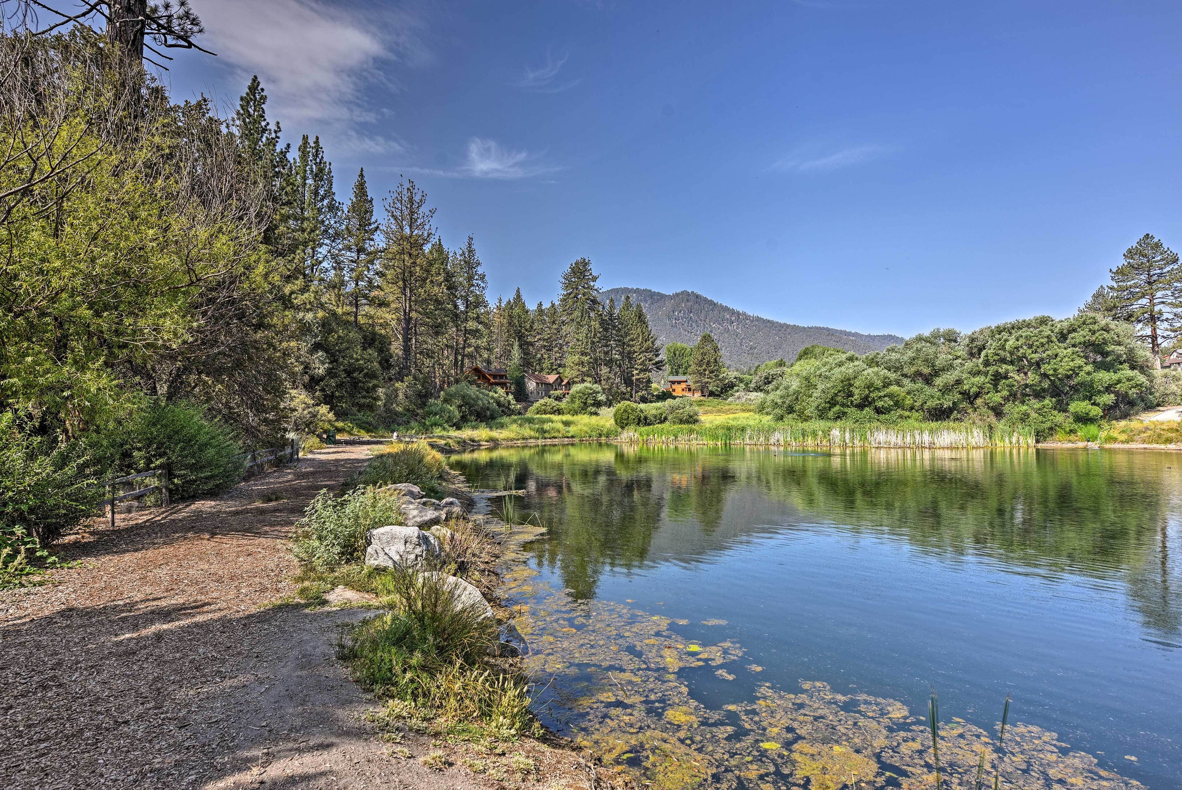 Un sendero tranquilo junto al lago, con una cerca de madera, rodeado de árboles densos y una montaña al fondo.