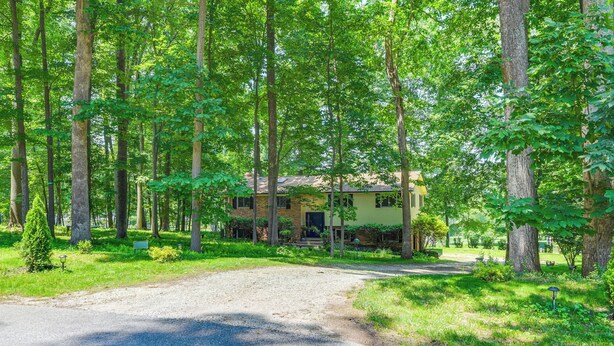 Een huis omringd door hoge bomen en een grindpad.