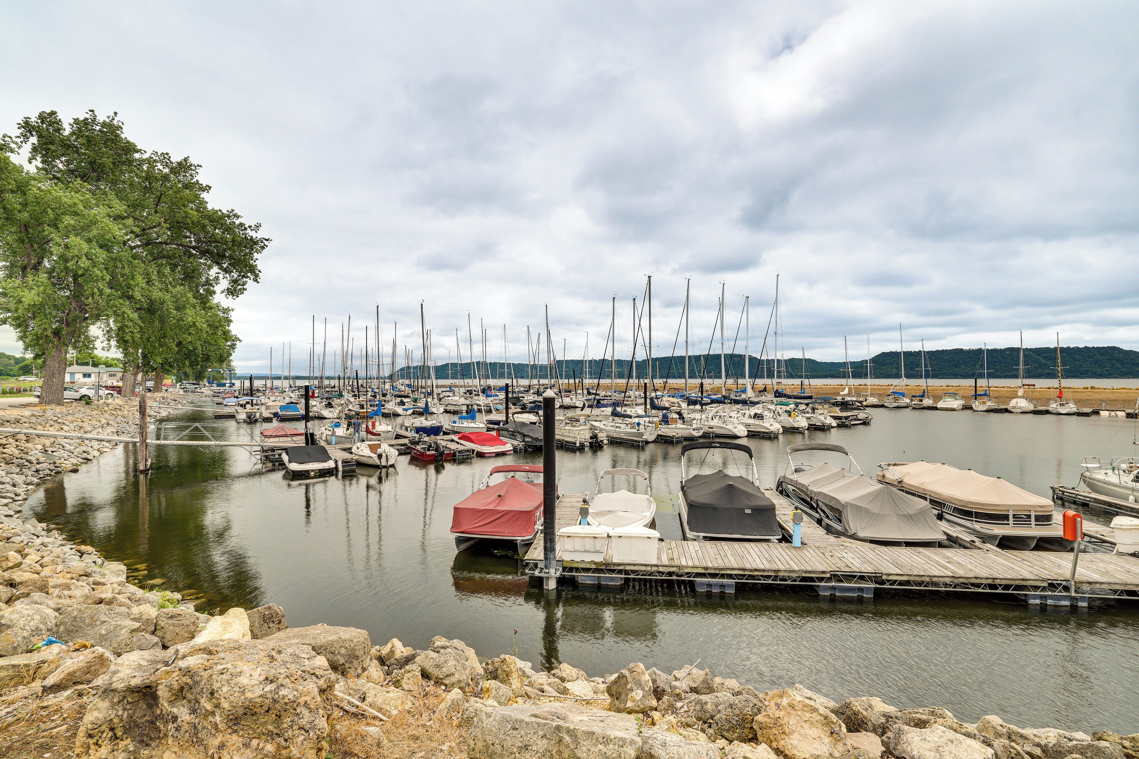A marina with multiple boats docked, a wooden pier, and a large tree in the foreground.