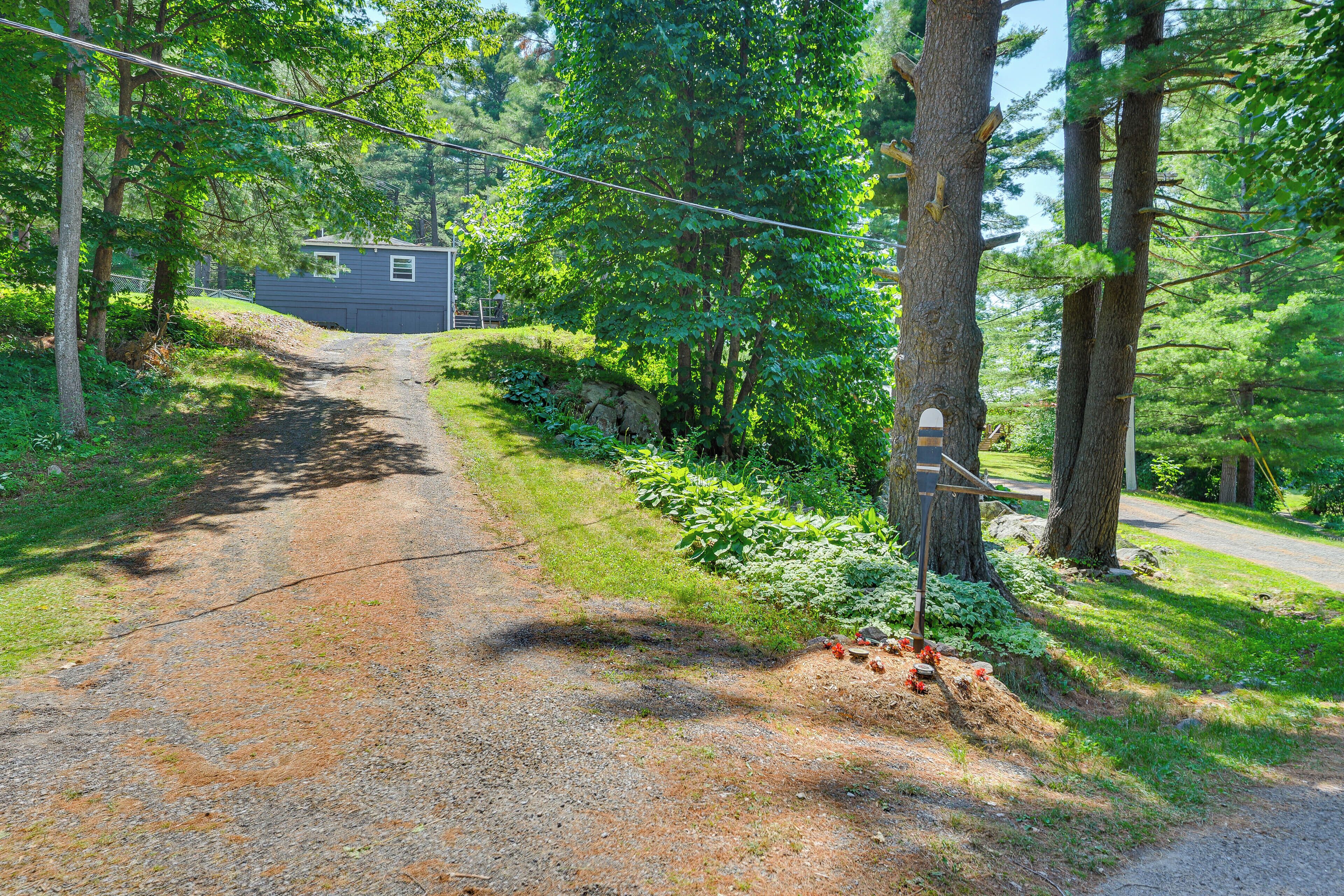 A gravel path leading to a small cabin surrounded by trees.