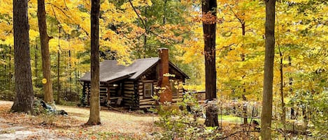 A rustic cabin surrounded by a forest with autumn foliage.